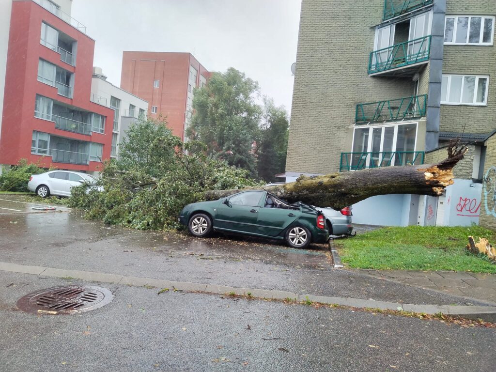 Autors: Aculiecinieka foto