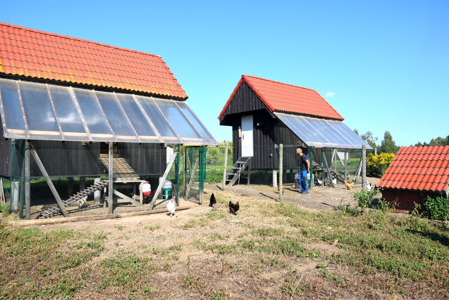 Elegantās vistu minimājiņas – ērti un ar automātiku aprīkoti 18 m².
Autors: Foto – Māris Krūmiņš