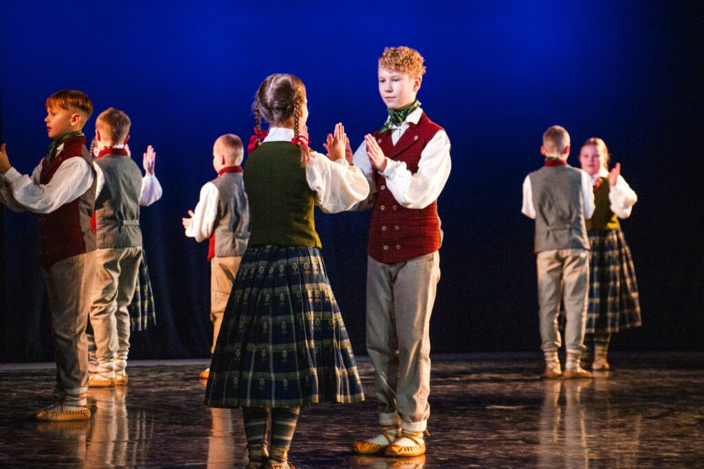 Aluksniesiem.lv raksta attēla aizvietotājs