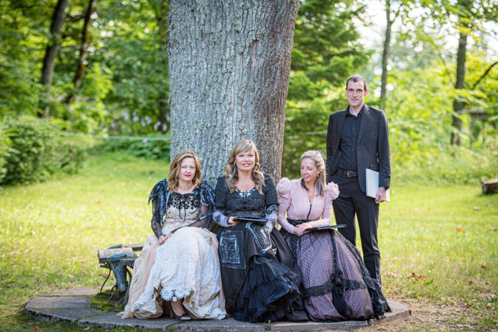 Aluksniesiem.lv raksta attēla aizvietotājs