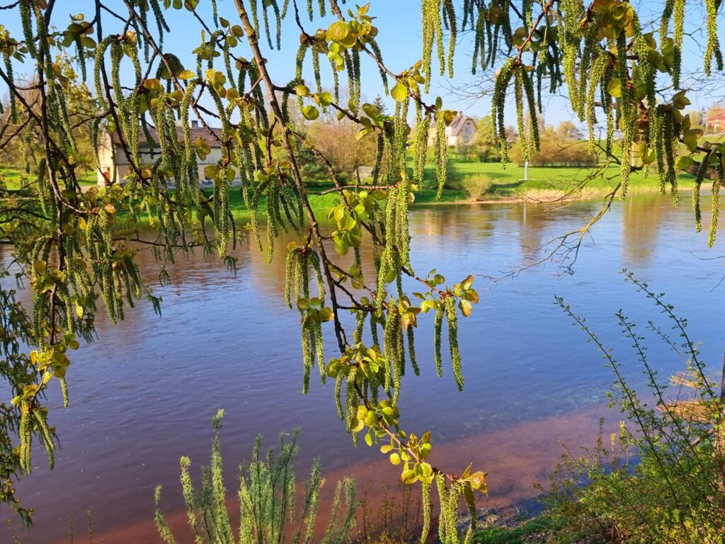 Autors: www.bauskasdzive.lv