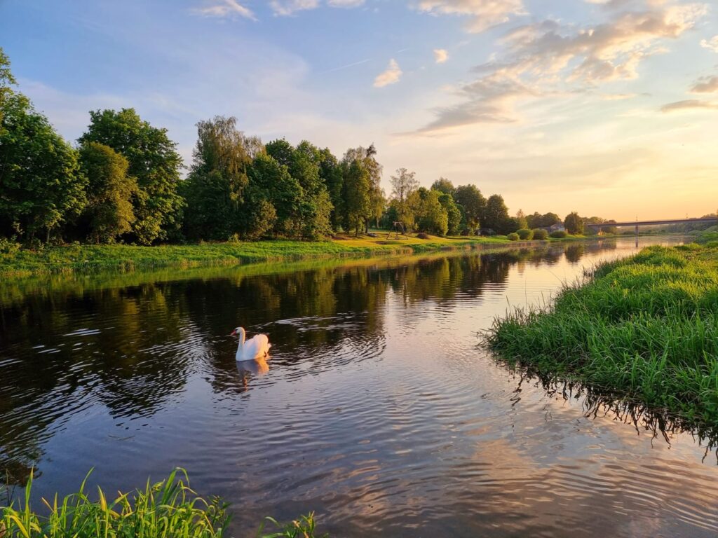 Aluksniesiem.lv raksta attēla aizvietotājs