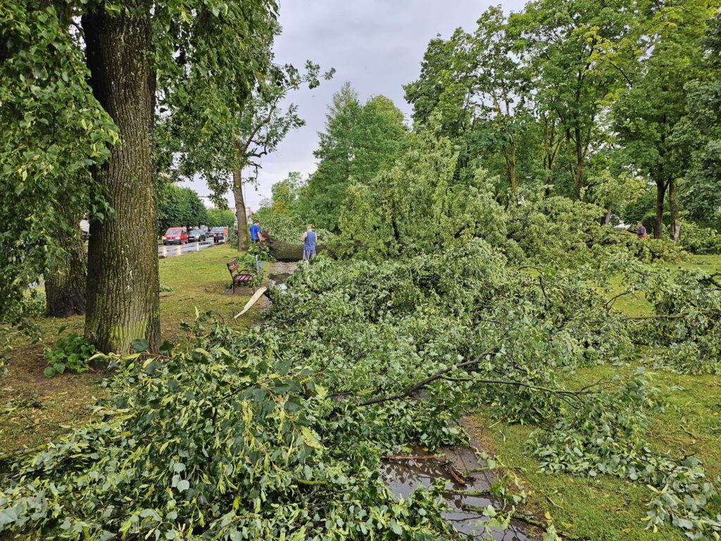 Autors: www.bauskasdzive.lv