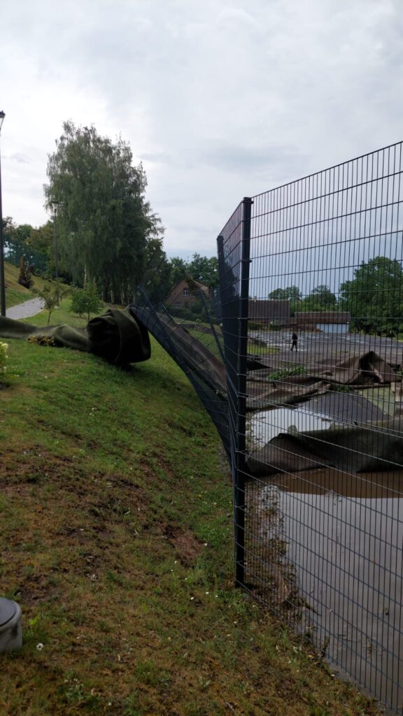 Autors: www.bauskasdzive.lv