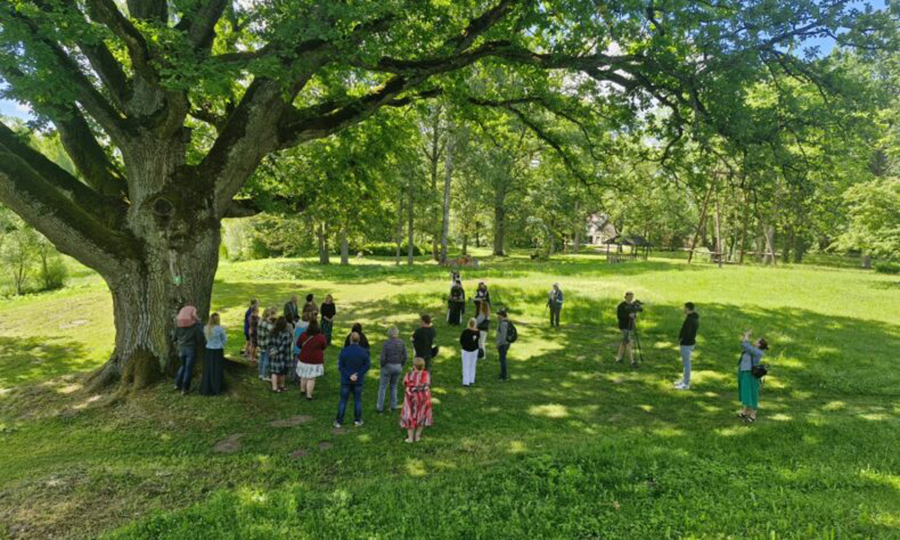 Aluksniesiem.lv raksta attēla aizvietotājs