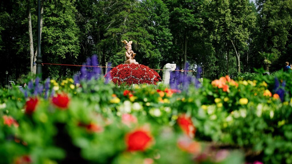 Autors: Publicitātes foto