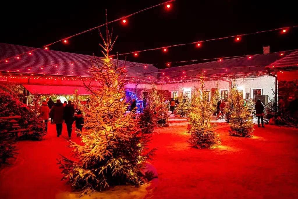 Autors: Publicitātes foto