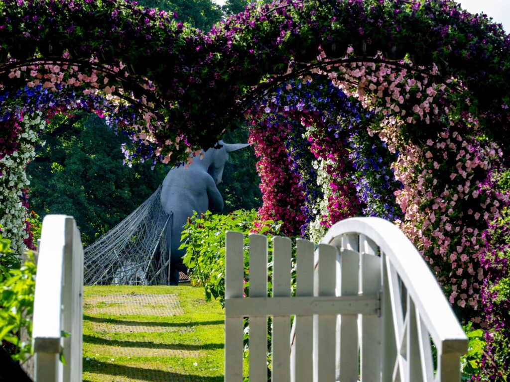 Autors: Publicitātes foto