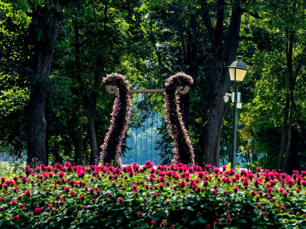 Autors: Publicitātes foto