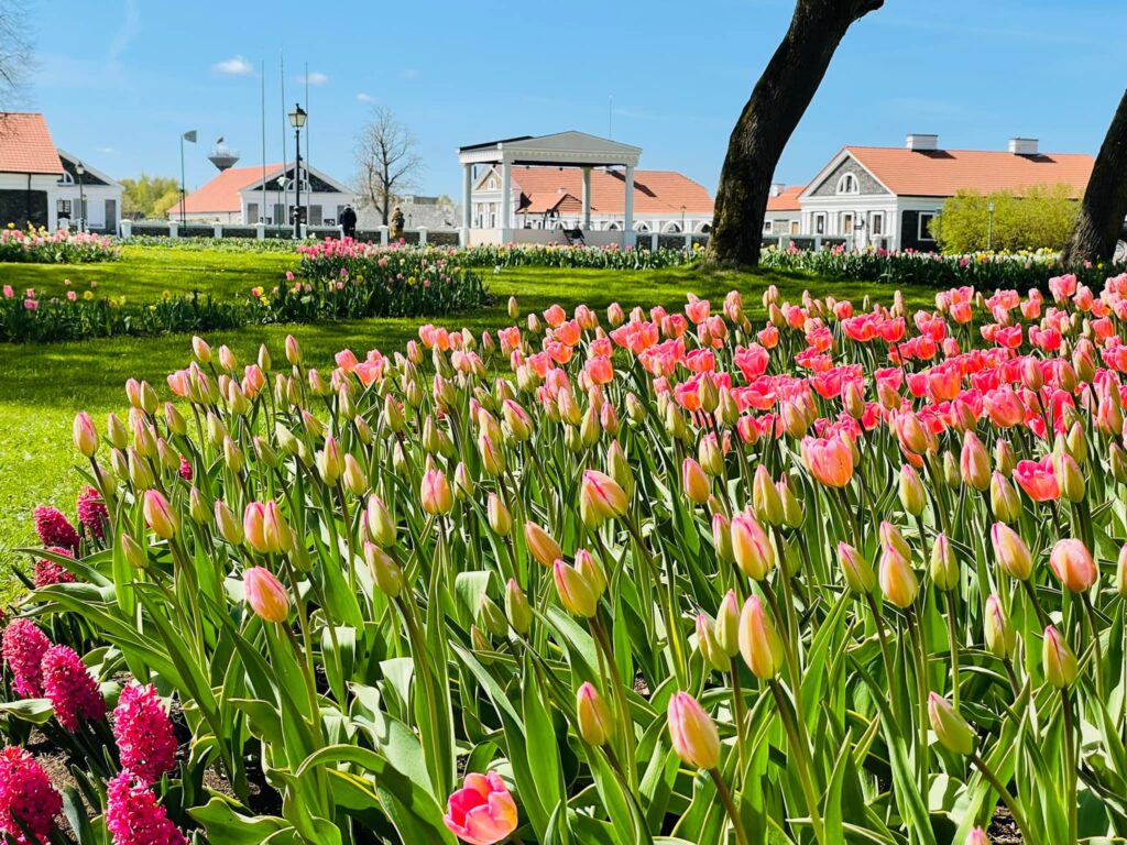 Autors: Publicitātes foto