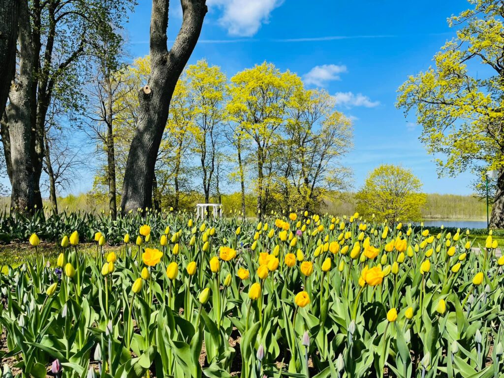 Autors: Publicitātes foto