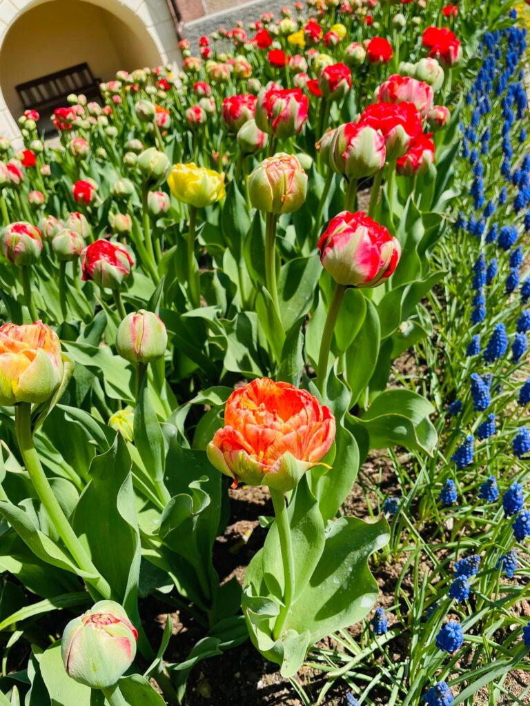 Autors: Publicitātes foto