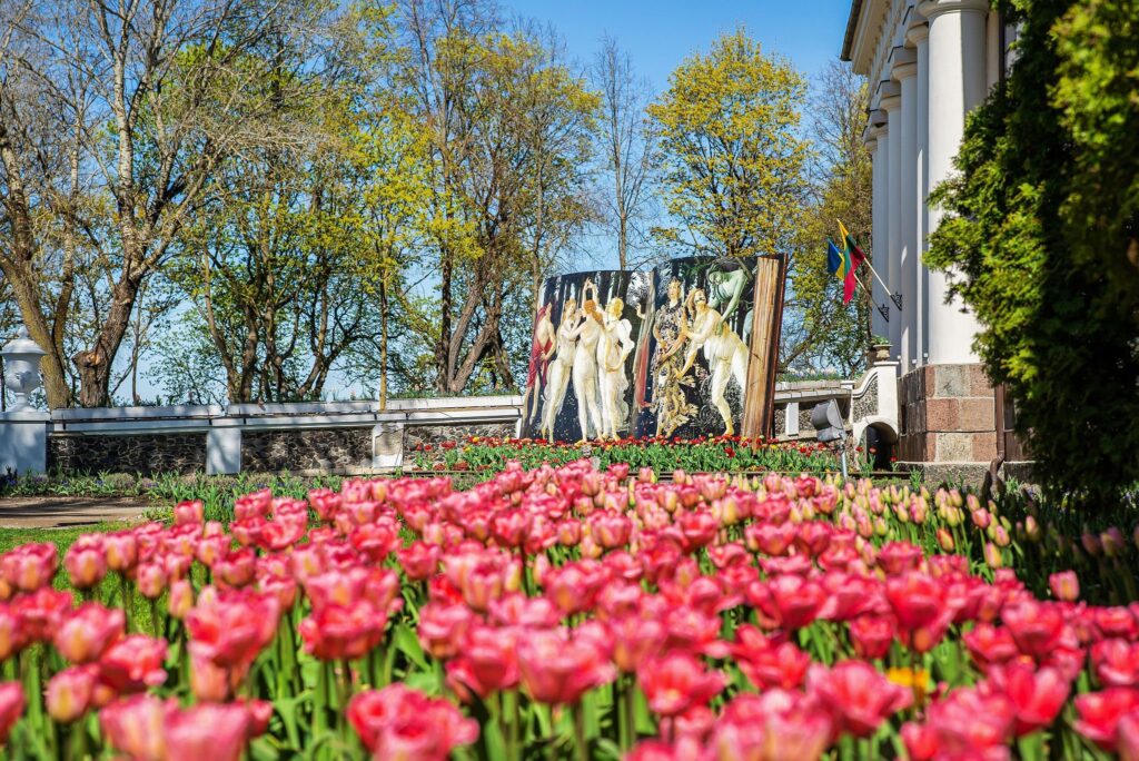 Aluksniesiem.lv raksta attēla aizvietotājs