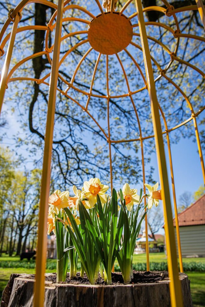 Autors: Publicitātes foto