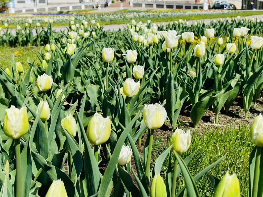 Autors: Publicitātes foto