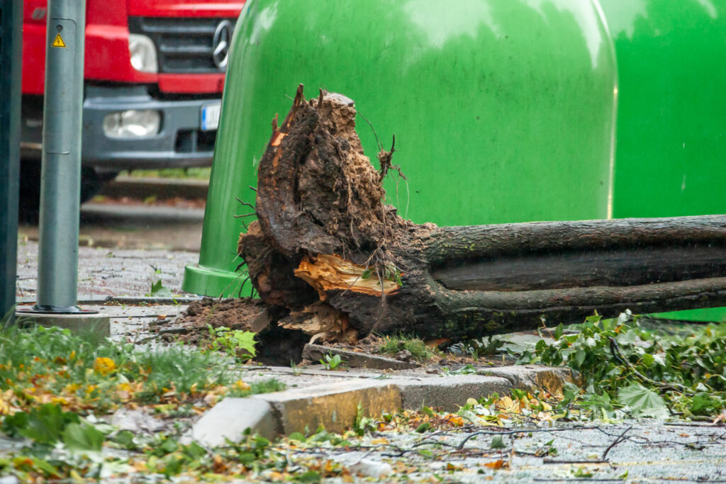 Panevēža pēc vētras.
Autors: Aculiecinieka foto