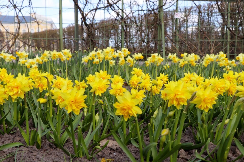 Autors: Publicitātes foto