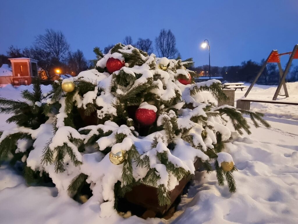 Autors: www.bauskasdzive.lv