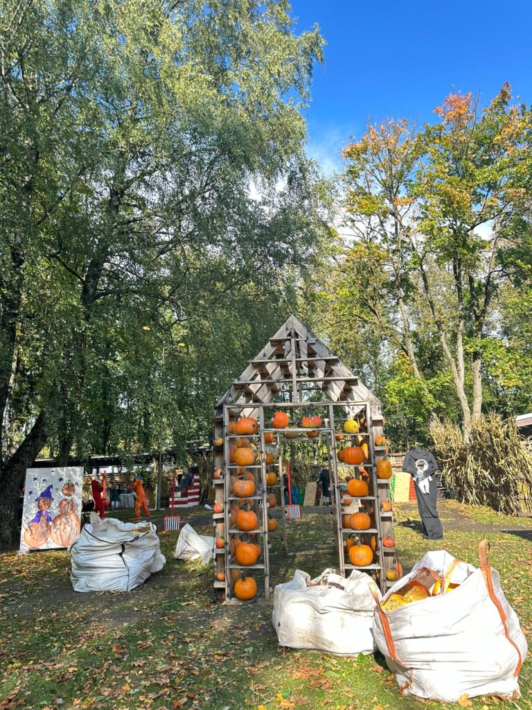 Autors: www.bauskasdzive.lv