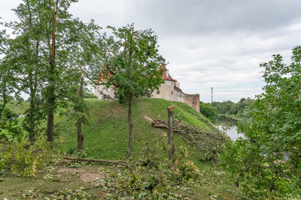 Autors: Andris Dūmiņš