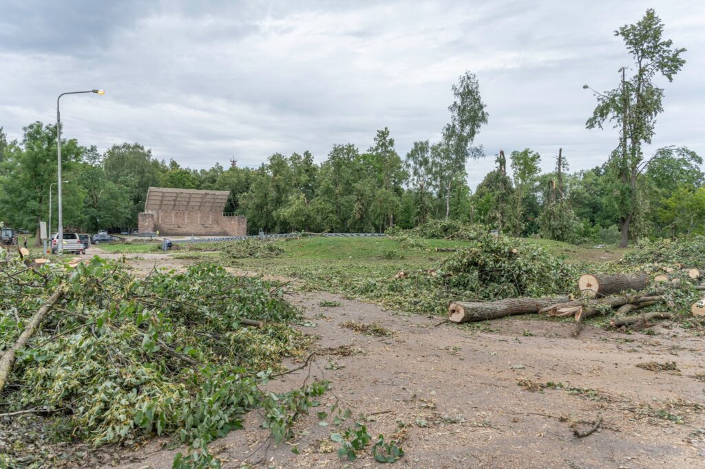 Autors: Andris Dūmiņš