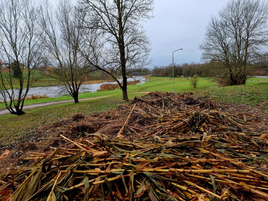 Autors: www.bauskasdzive.lv