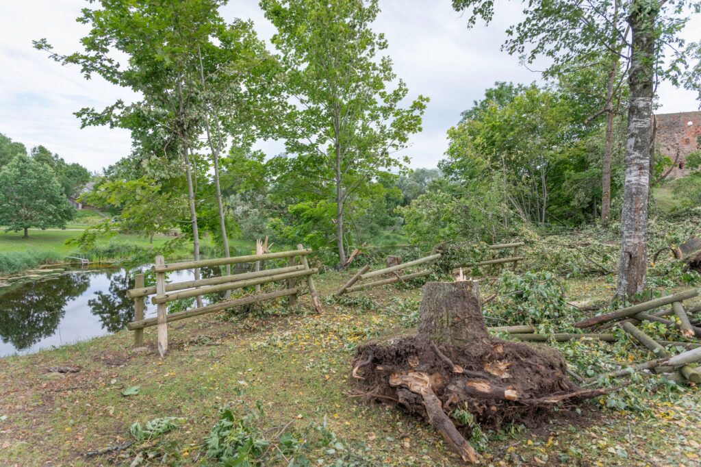 Autors: Andris Dūmiņš