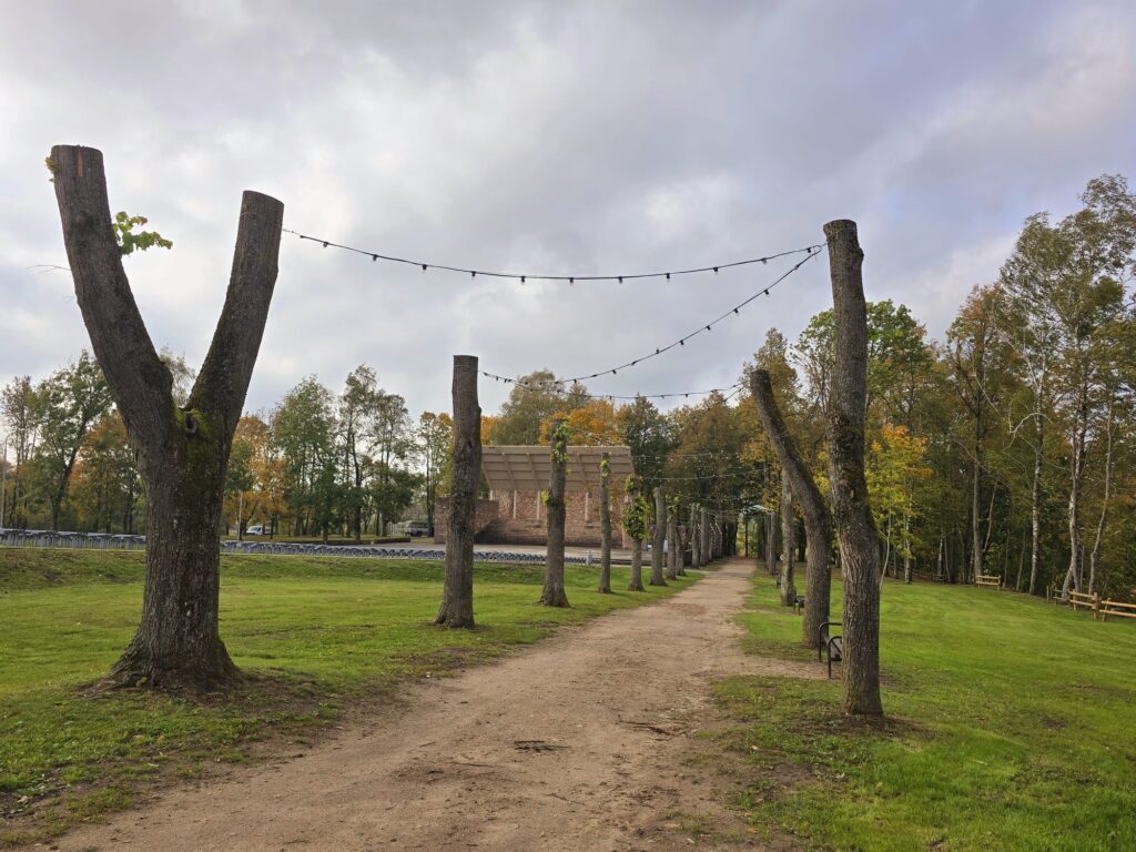 Autors: www.bauskasdzive.lv