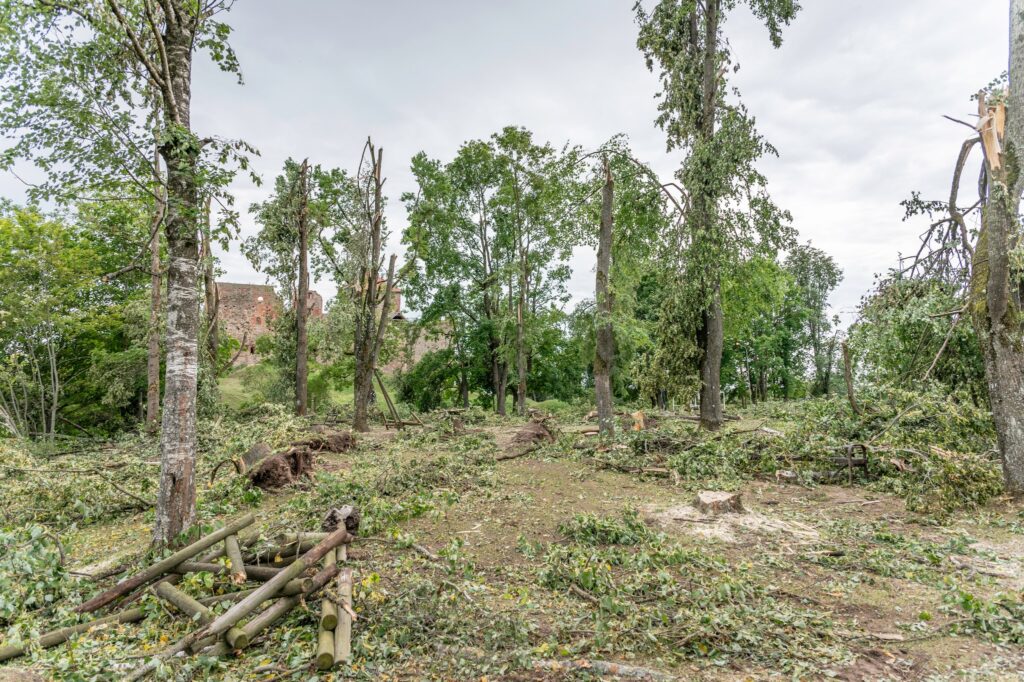 Autors: Andris Dūmiņš