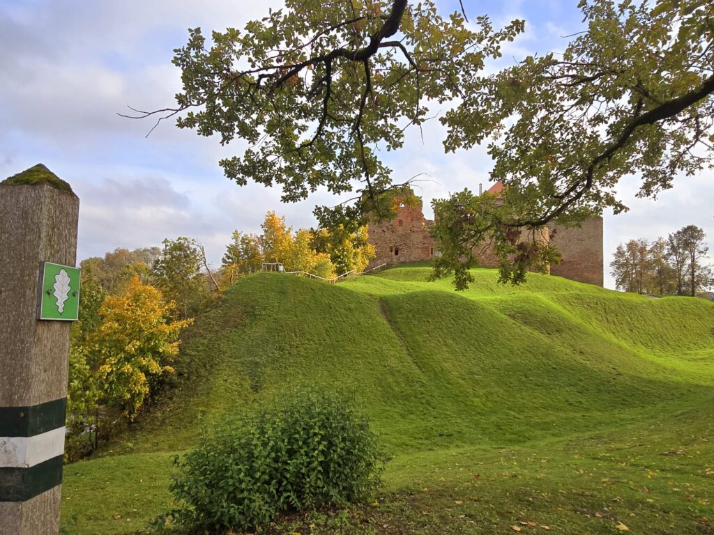 Autors: www.bauskasdzive.lv