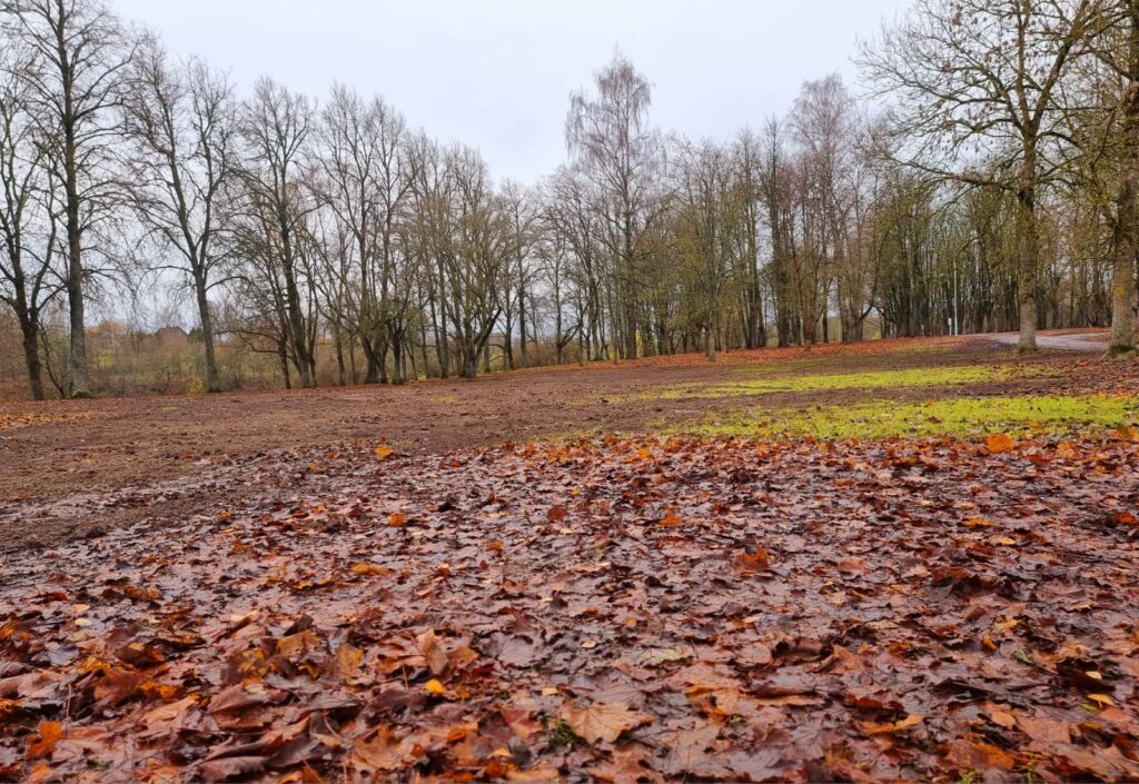 Autors: www.bauskasdzive.lv