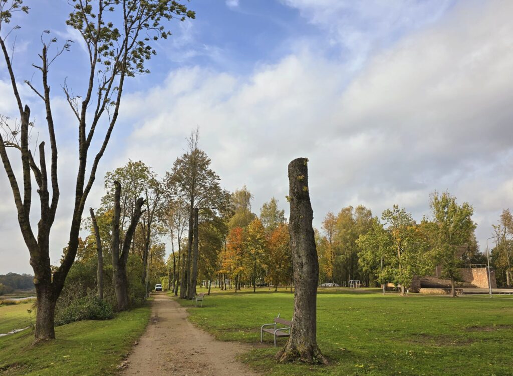 Autors: www.bauskasdzive.lv