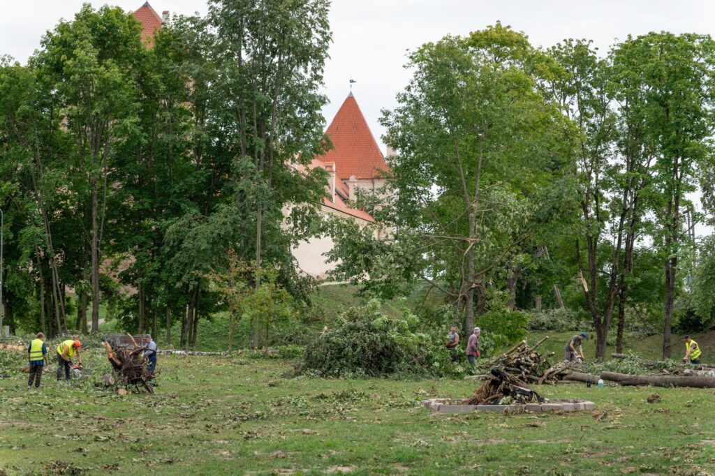 Autors: Andris Dūmiņš