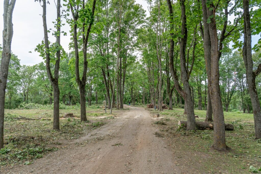 Autors: Andris Dūmiņš