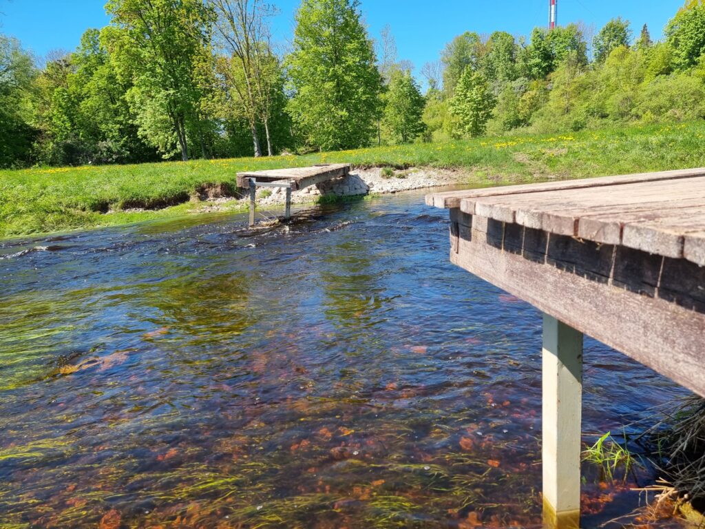 Autors: www.bauskasdzive.lv