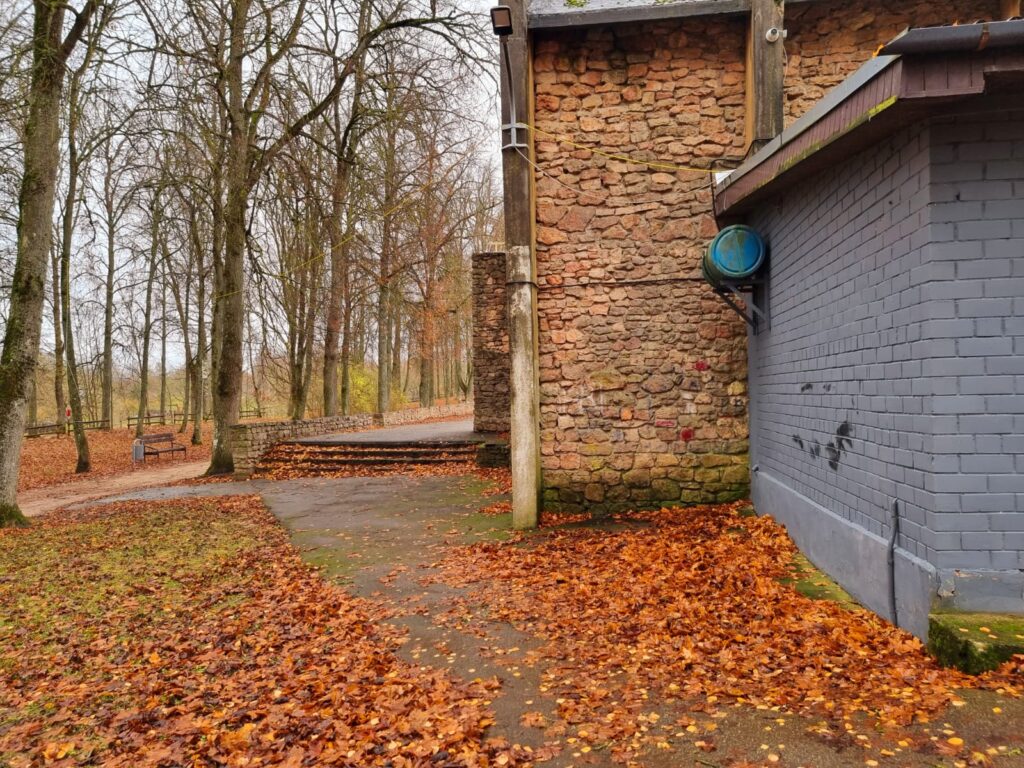 Autors: www.bauskasdzive.lv