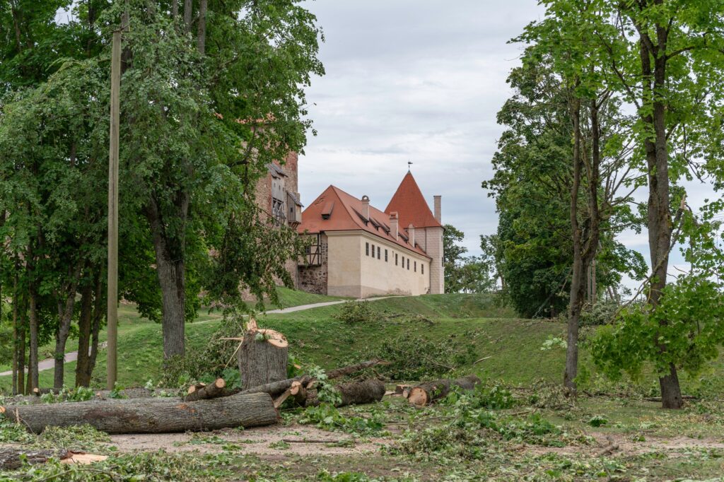Autors: Andris Dūmiņš
