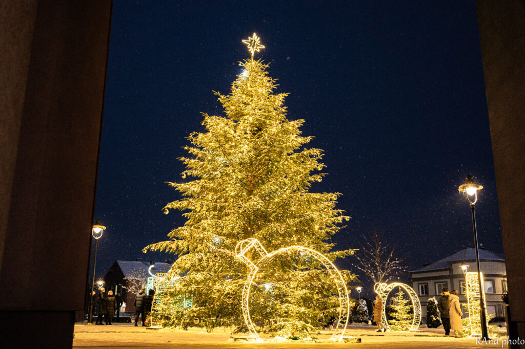 Pluņģes svētku galvenā rota.