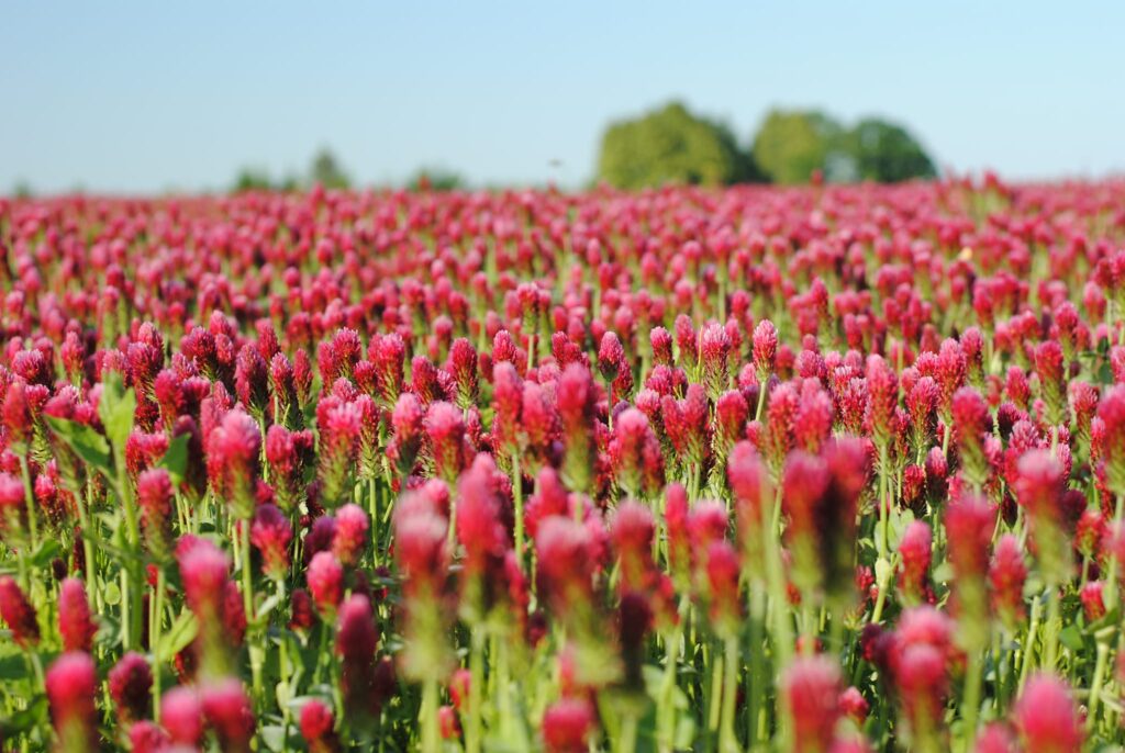 Autors: Raminta Šabūnaitė