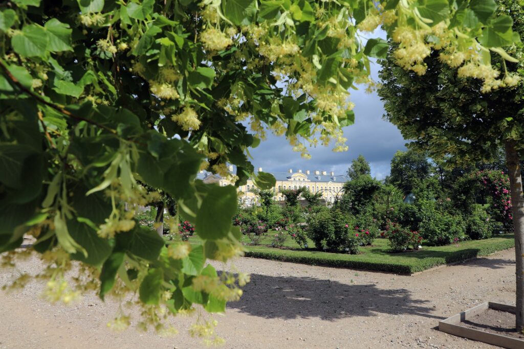 Autors: Rundāles pils muzejs