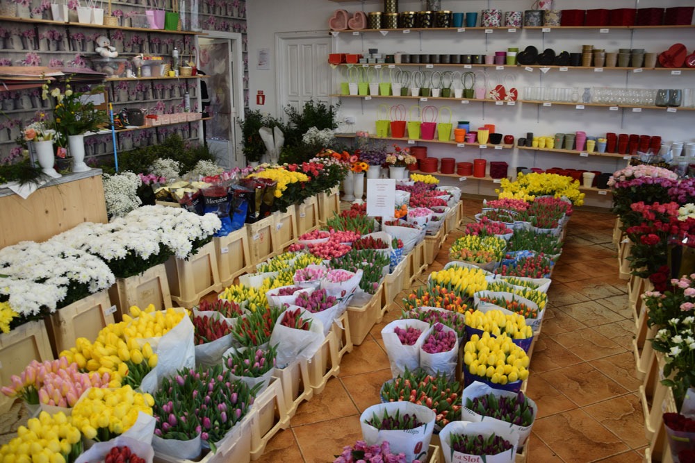 Autors: Māris Krūmiņš