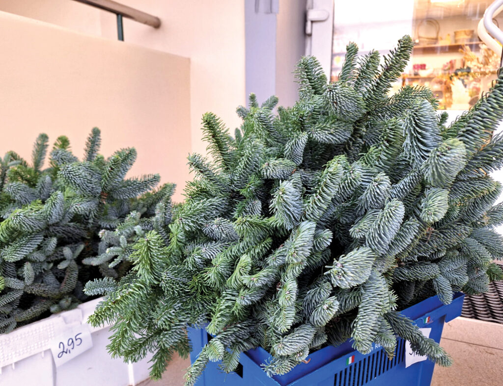 Veikals «Pagrabiņš».