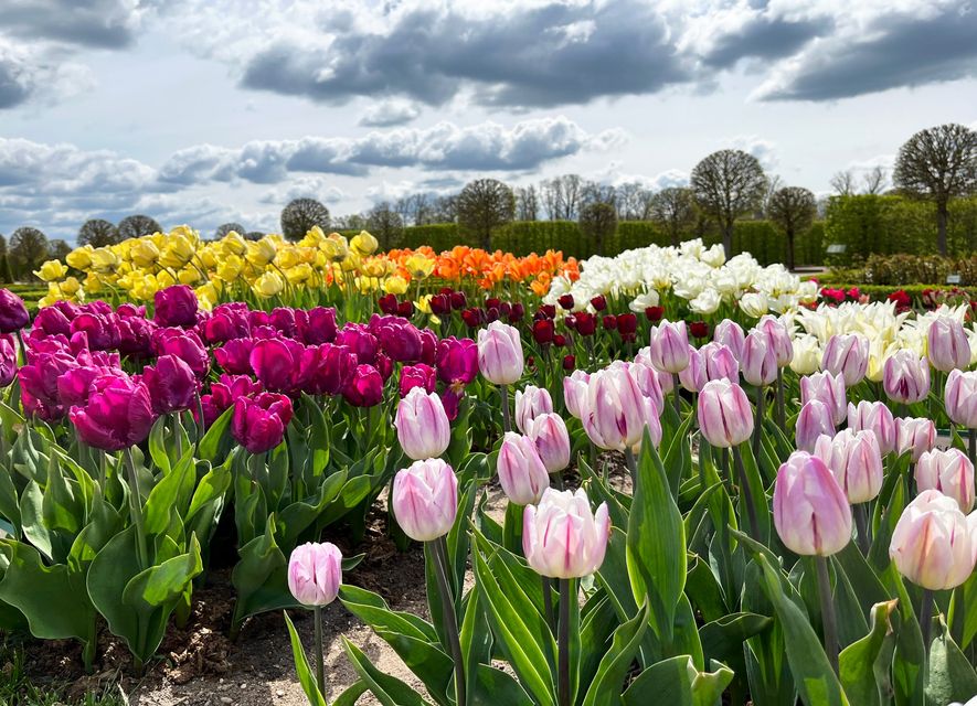 Autors: Rundāles pils muzejs/Publicitātes foto.