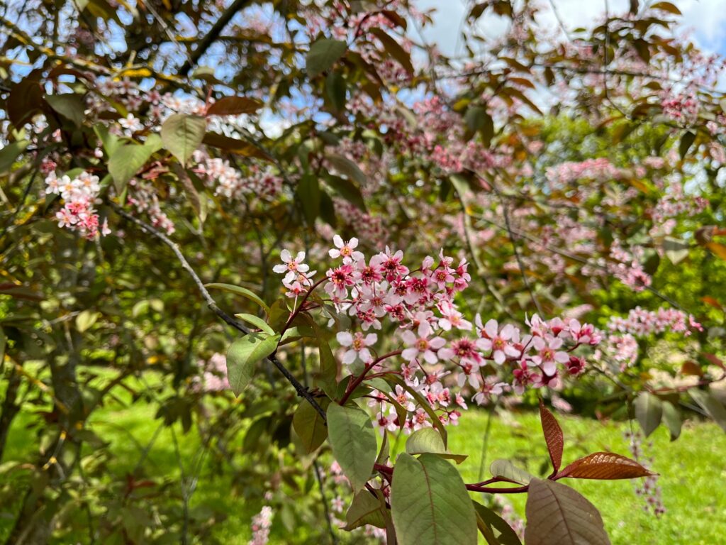 Autors: Publicitātes foto.