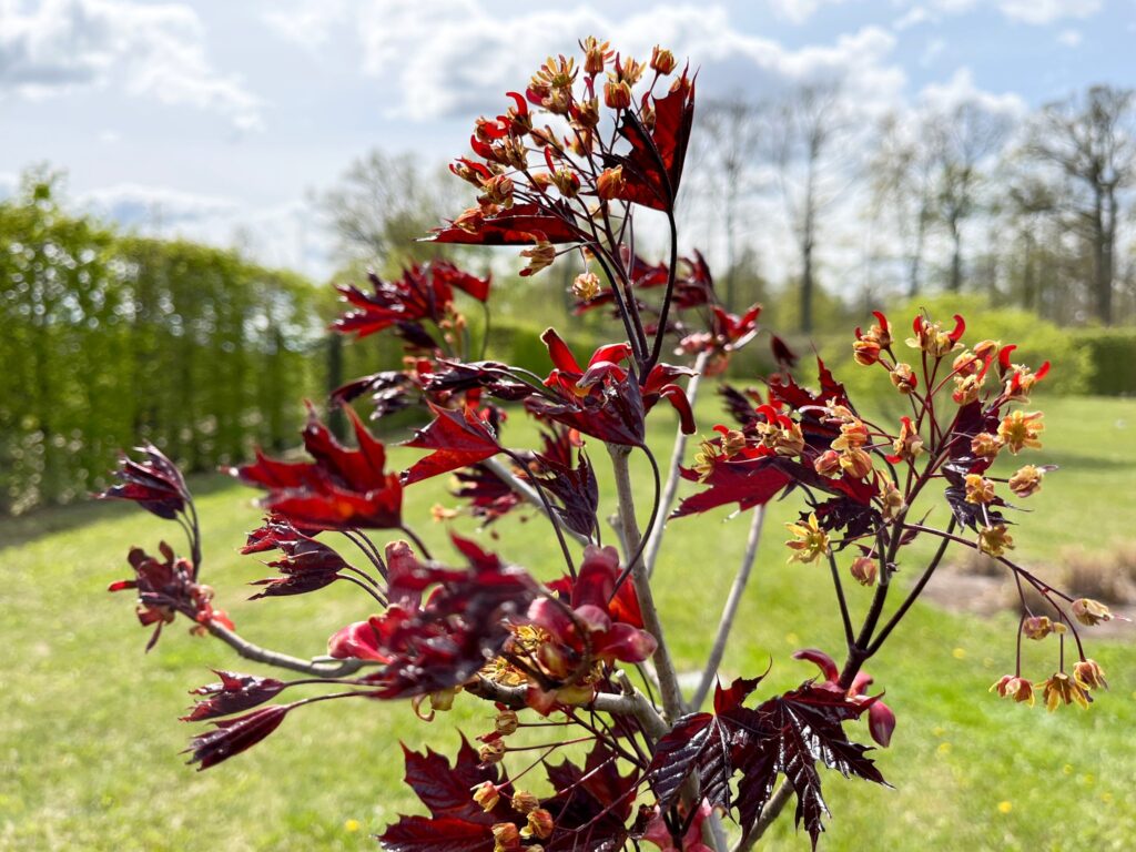 Autors: Publicitātes foto.