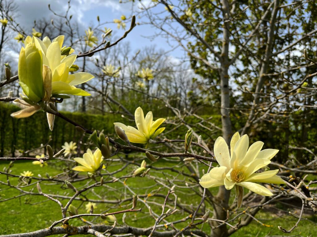 Autors: Publicitātes foto.