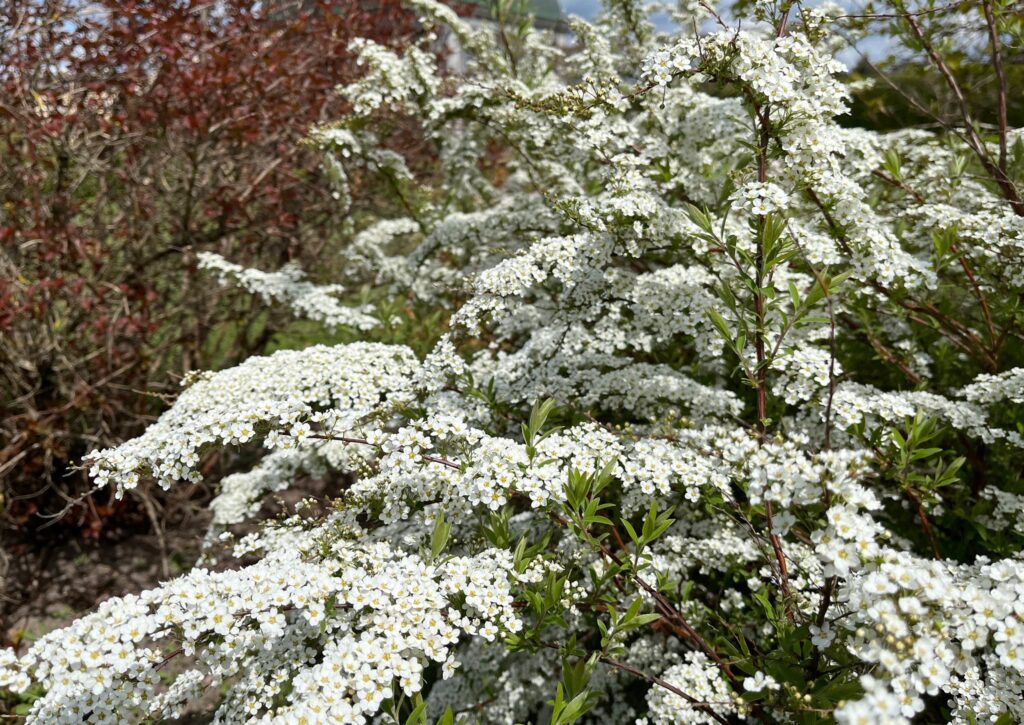 Autors: Publicitātes foto.