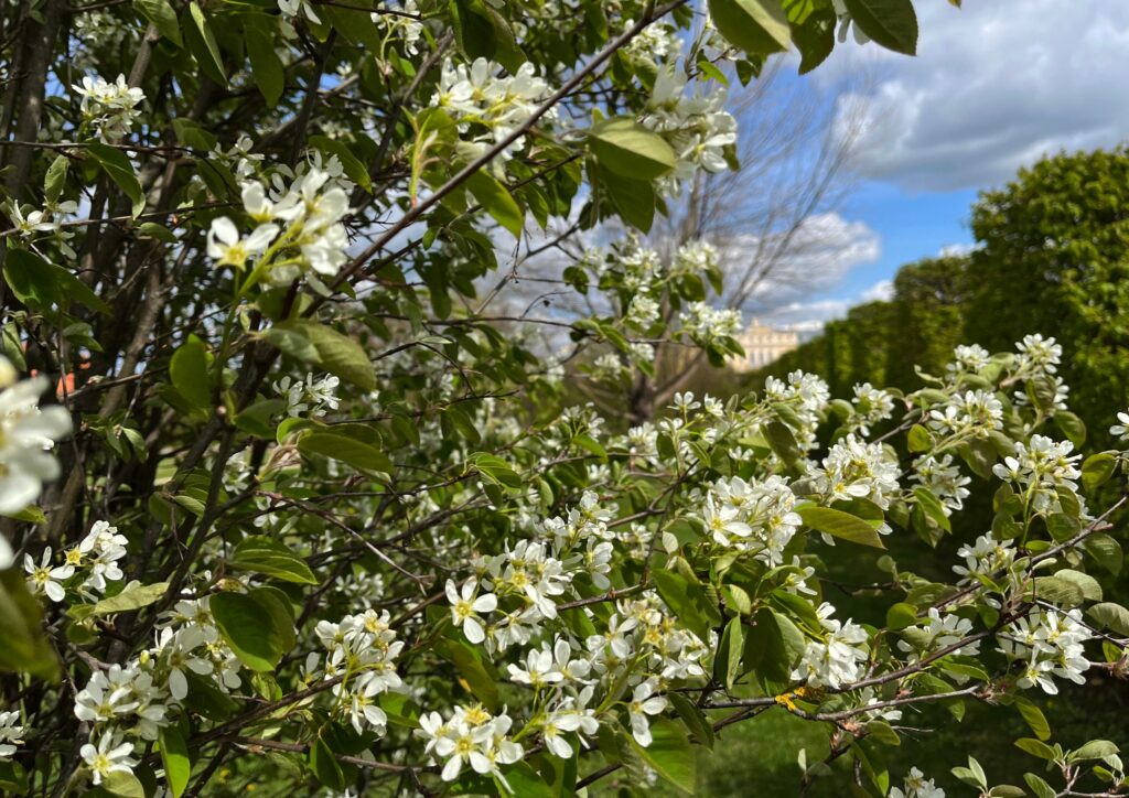 Autors: Publicitātes foto.