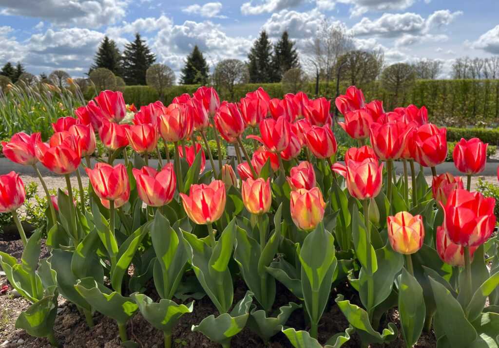 Autors: Rundāles pils muzejs/ Publicitātes foto.