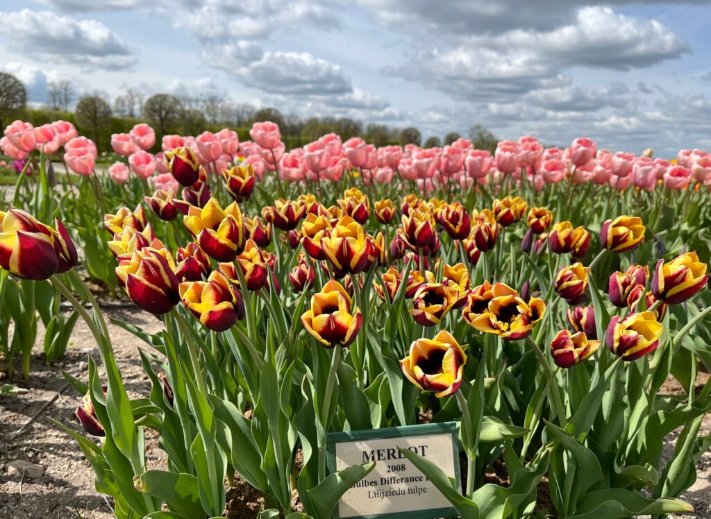 Autors: Rundāles pils muzejs/ Publicitātes foto.